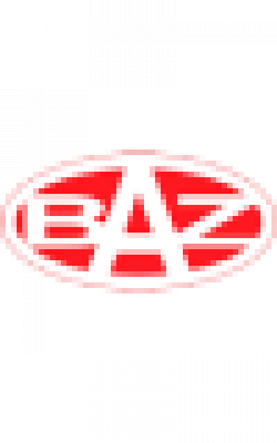 BAZ group of companies