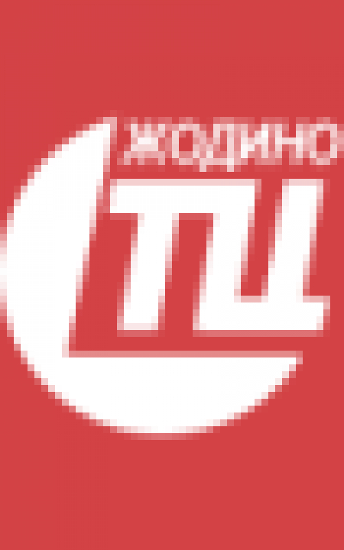 Жодинский торговый центр