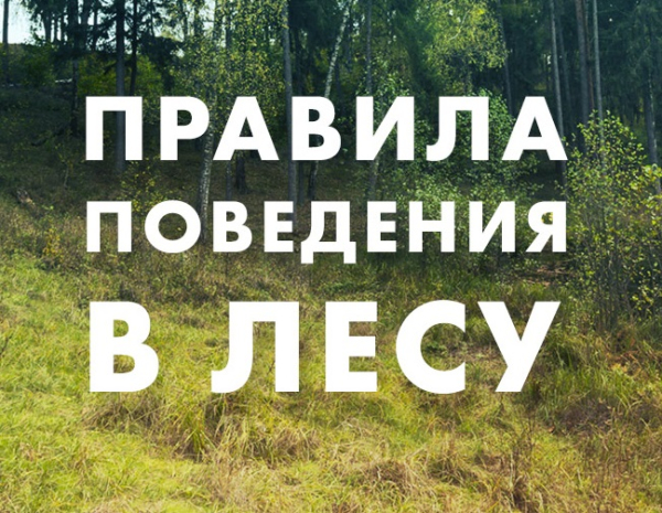 Нажмите для предварительного просмотра изображения